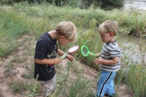 13. bug walk along ditch bank