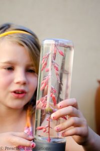 How to Make a Desert Flower Discovery Bottle