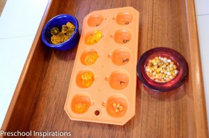 Fall Montessori Ideas by Preschool Inspirations-7