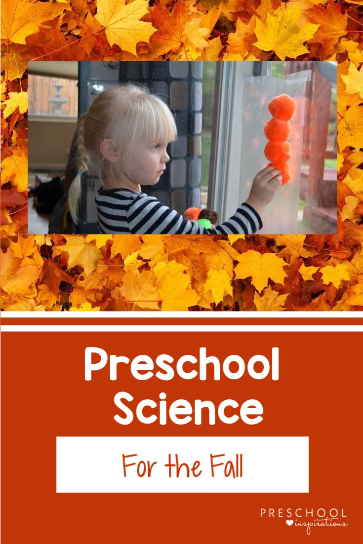 Preschool science ideas for the fall! Tips for how to set up your classroom science center for fall. Great ideas and science activities to do with pumpkins, fall leaves, bugs, and more. #preschool #prek #fall #preschoolscience 