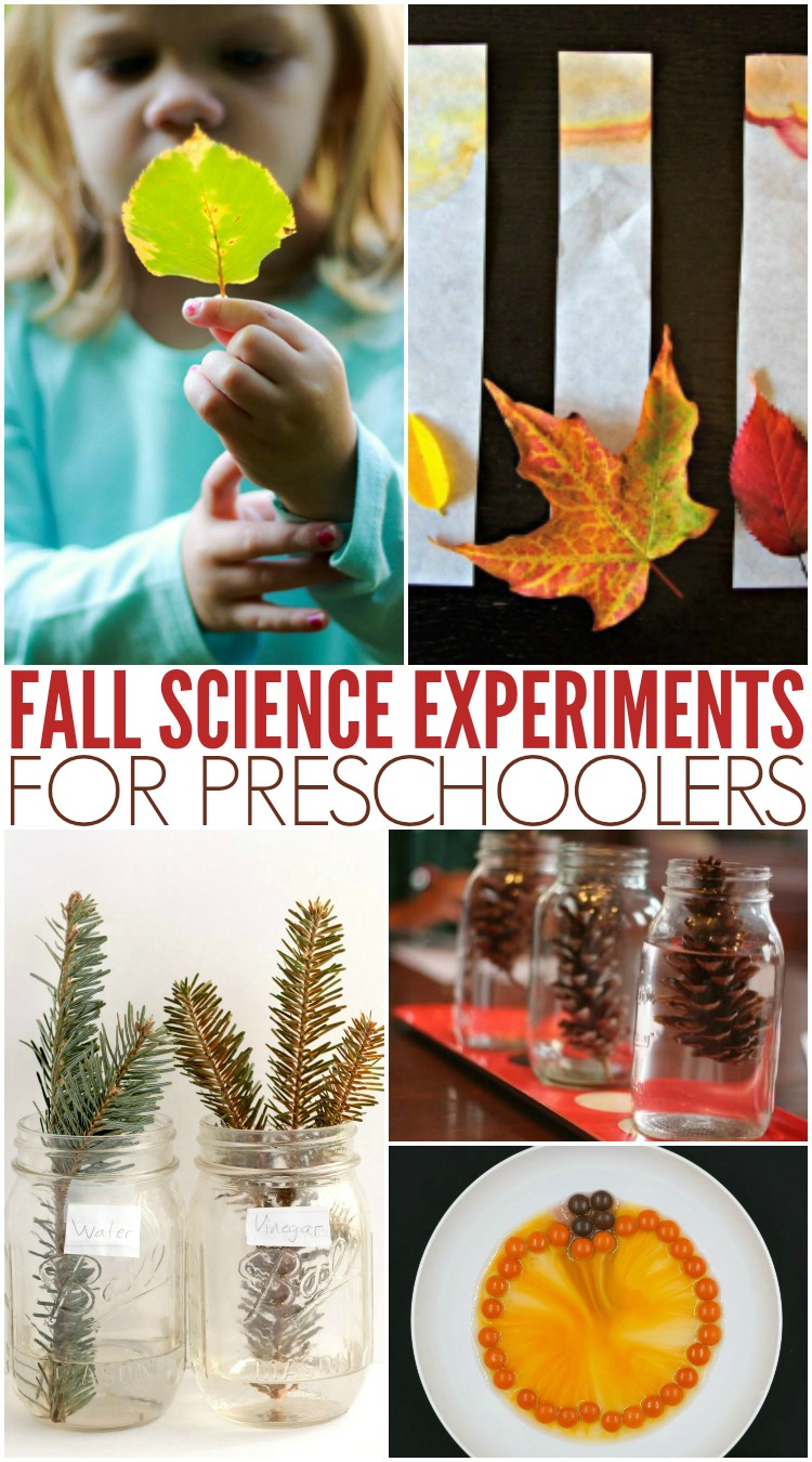 Get some great fall science activities and science experiments. #preschool #prek #kindergarten #fallscience #scienceexperiments #science #scienceforkids #sensoryplay #learning #scienceactivities #STEM  