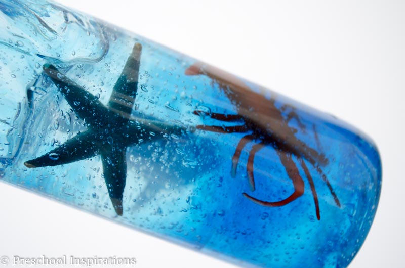 Make an ocean creature discovery bottle where the creatures stay in place | Preschool Inspirations