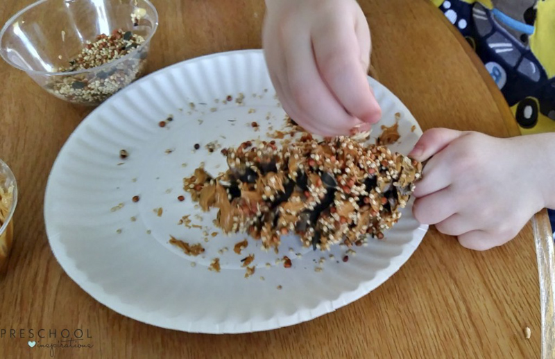 Adding bird seed to the pine cone bird feeders