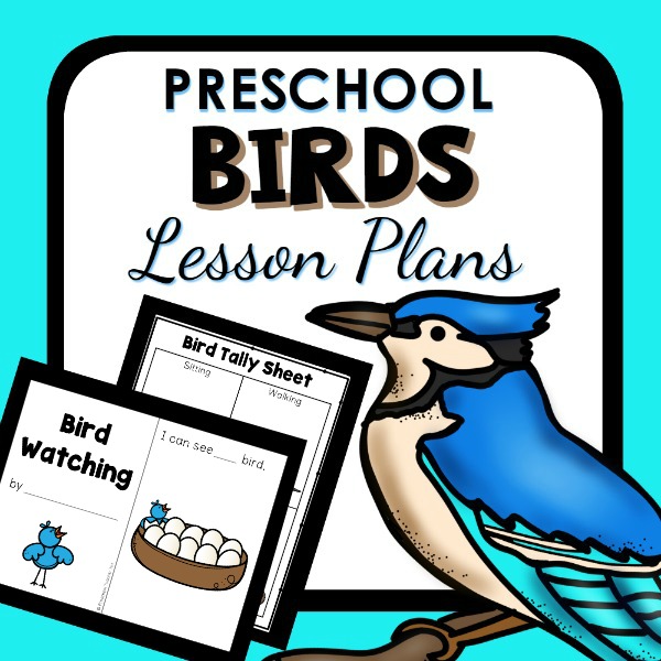 cover image for Preschool Birds Lesson Plan