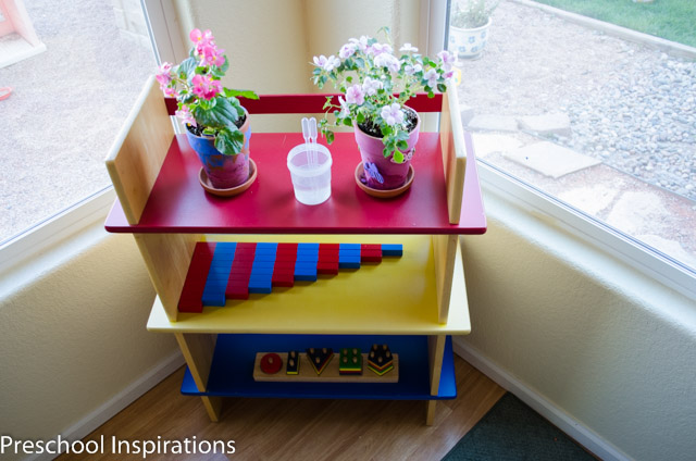 Having a plant area in the preschool classroom.