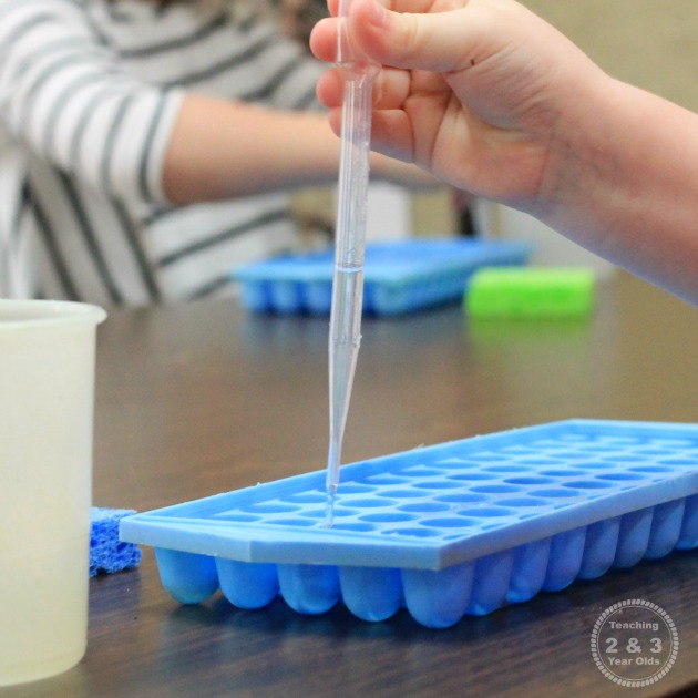 Preschooler using pipette to squeeze water into small trays to develop fine motor control. 