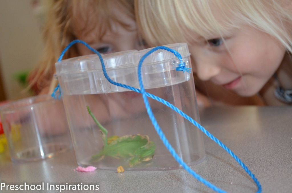 Setting up Science by Preschool Inspirations-15