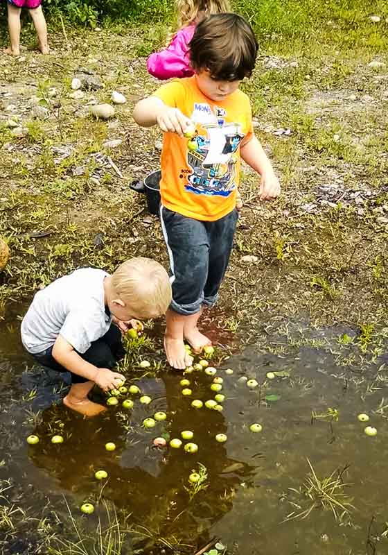 Do children learn through play? Find out the amazing benefits of forest schools and nature schools.