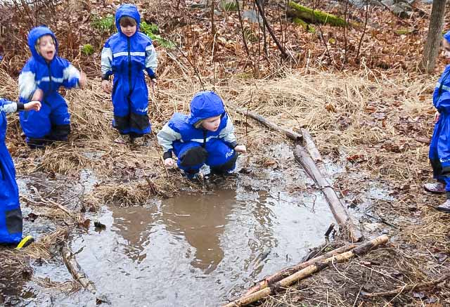 Do children learn through play? Find out the amazing benefits of forest schools and nature schools.