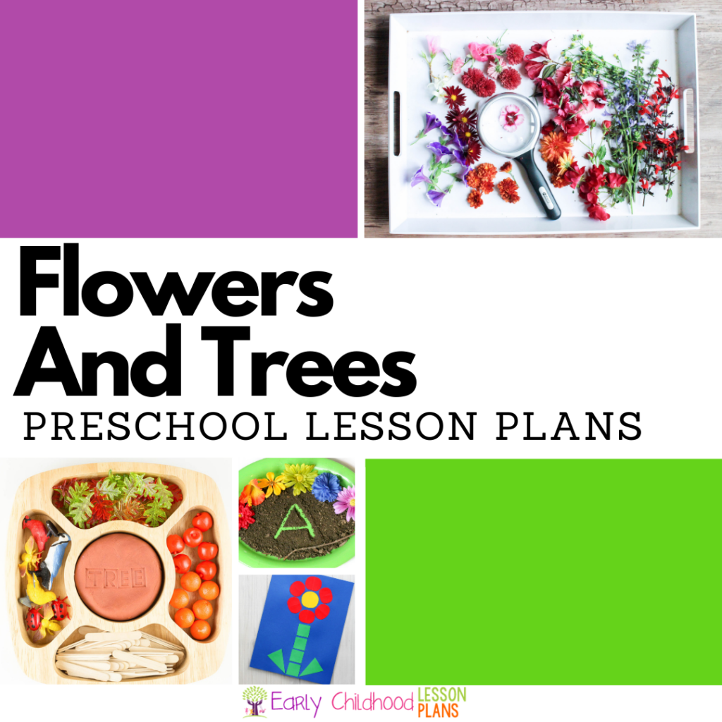 cover image for Preschool Lesson Plans Flowers and Trees